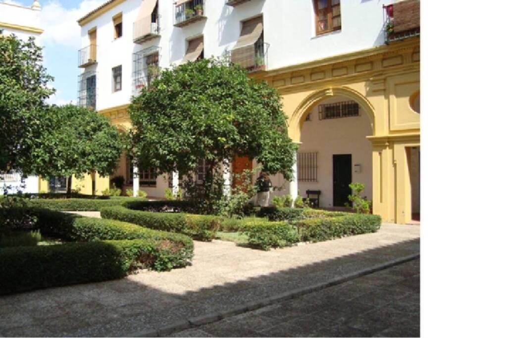Centrico Y Amplio Apartamento 100% Equipado Jerez de la Frontera Exterior photo